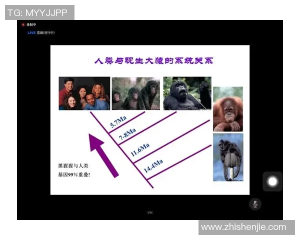 祭祀足球明星的传统与现代融合探讨及其文化意义分析