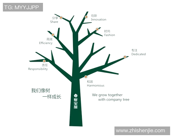 杭州篮球队的崛起与发展探索聚焦球队意识与未来愿景